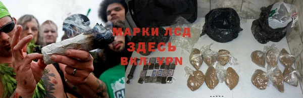 гидра Аркадак