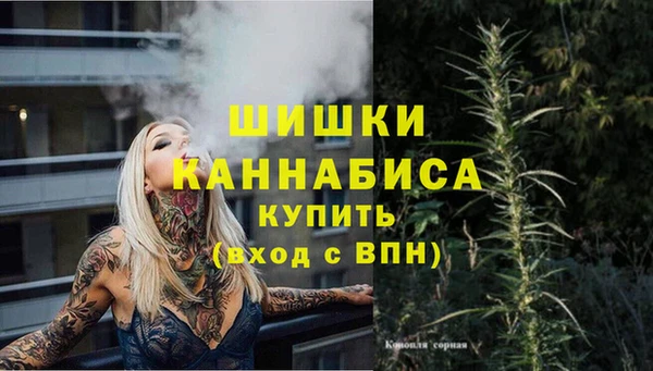 гидра Аркадак