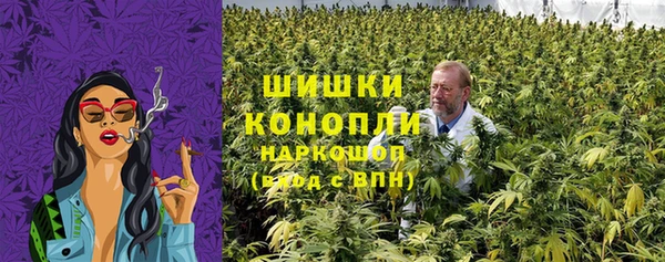 гидра Аркадак