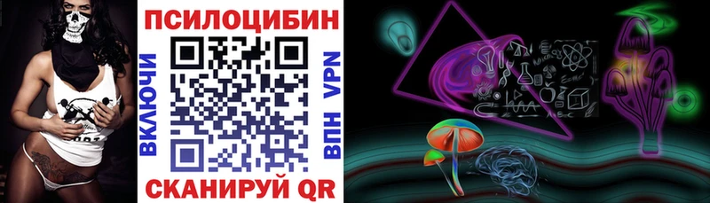 наркошоп  Кимры  Псилоцибиновые грибы Psilocybine cubensis 
